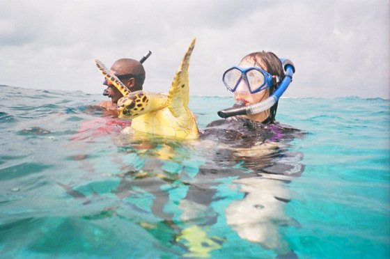 Turks Snorkelling