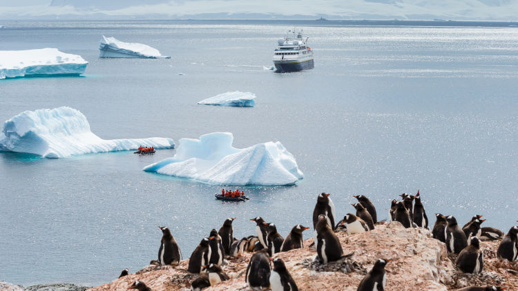  Antarctica,  credit Ralph Lee Hopkins