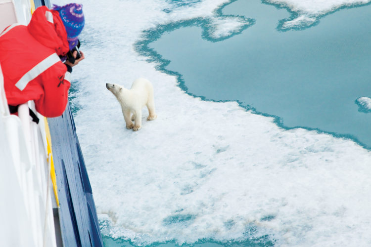 Exclusive Resorts Arctic PolarBear