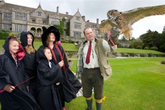 Harry Potter Falconry