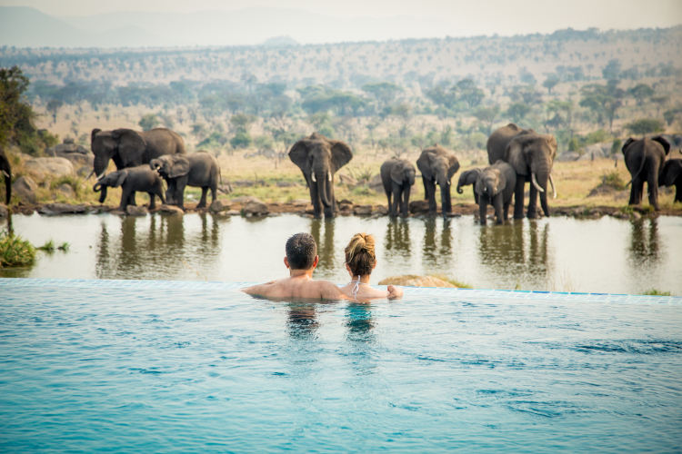 Exclusive Resorts Serengeti pool
