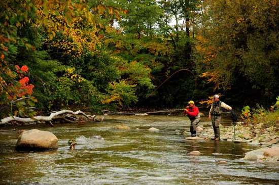 HomeWaters Fly Fishing