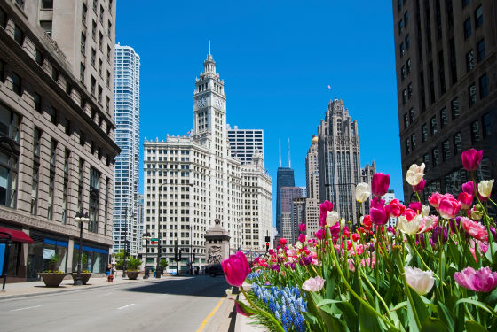 Wrigley Building Chicago